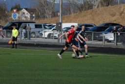 Varfjell - Skåla/Langfjorden 2026